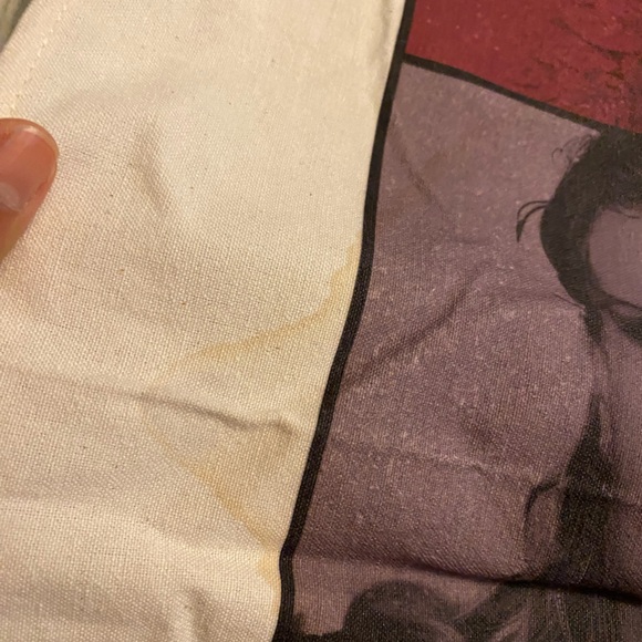 Authentic Taylor Swift wall hanging tapestry. & book. - Picture 9 of 14